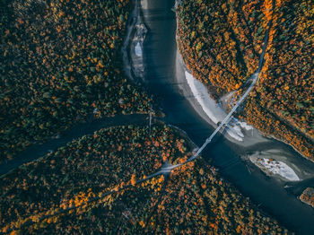 High angle view of trees during autumn