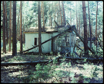 Abandoned building in forest