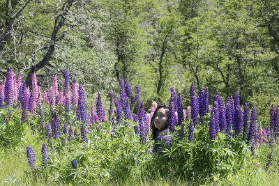 Purple flowering plants on field by trees in forest