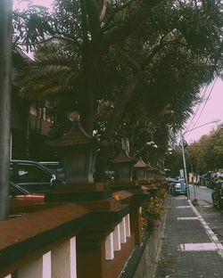 Road by trees against sky in city