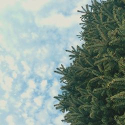 Low angle view of trees against cloudy sky