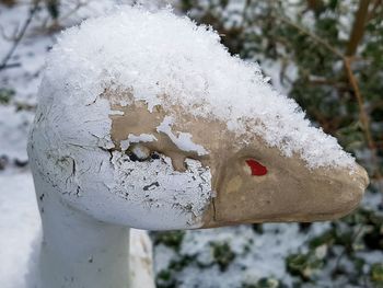 Close-up of frozen ice