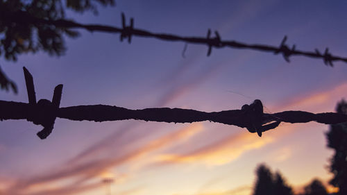 Close-up of barbed wire against sky during sunset