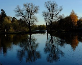 Reflection of trees in lake against sky