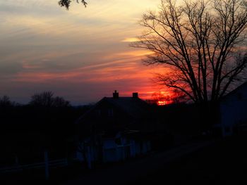 Silhouette trees at sunset