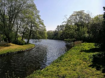 Scenic view of river amidst trees against sky