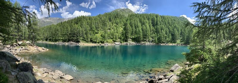 Scenic view of lake by trees against sky