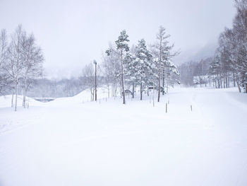 Trees on snow covered field against sky
