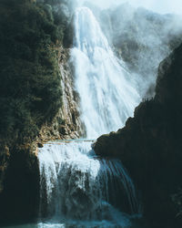 Scenic view of waterfall in forest