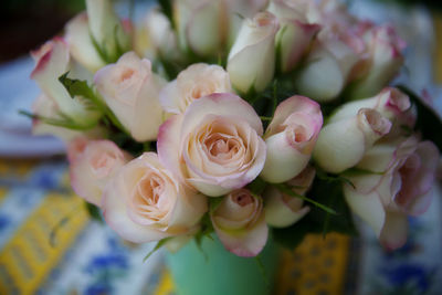 Close-up of pink roses in vase