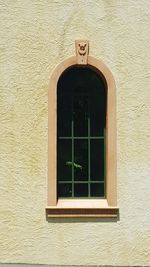 Brick wall with windows