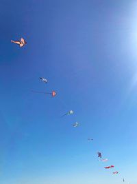 Low angle view of kites flying against clear blue sky