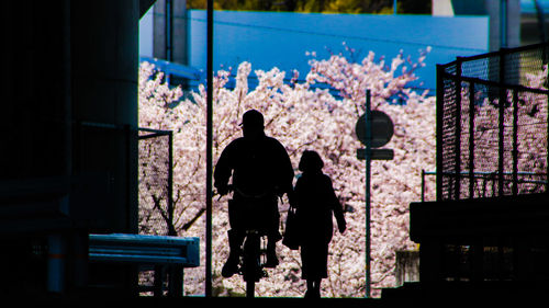 Rear view of silhouette couple against building at night