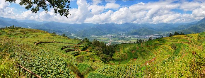 landscape
