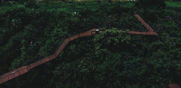 High angle view of footbridge amidst trees at forest