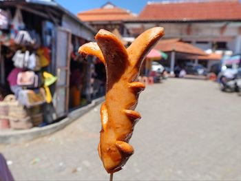 Close-up of crab on street in city