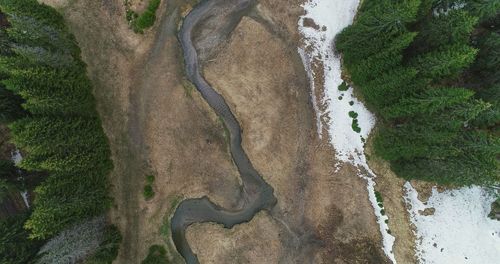 High angle view of river amidst trees