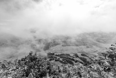 Scenic view of landscape against sky