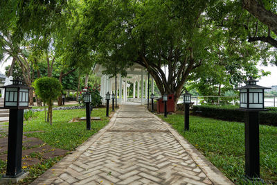 Footpath amidst trees in park