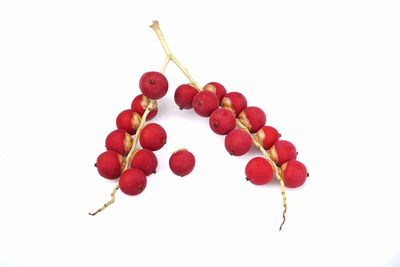 Close-up of red berries against white background