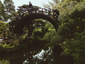 View of trees in forest