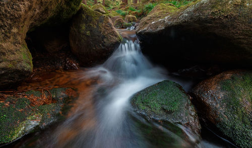 Scenic view of waterfall in forest