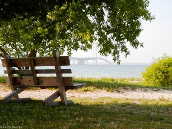 Empty bench in park