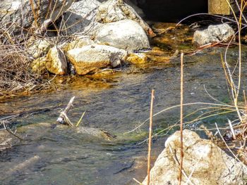 Rocks in water