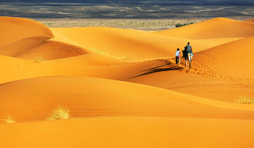 Rear view of people with camel on sand dunes