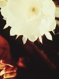 Close-up of woman hand holding red flower