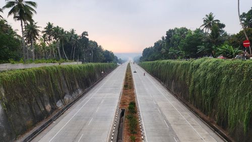 Empty road amidst trees against sky