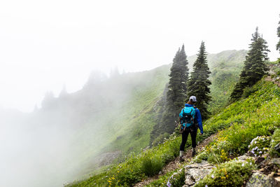 Hiking scenes in the beautiful north cascades.