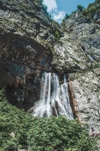 Scenic view of waterfall in forest