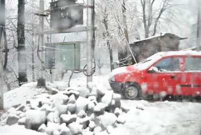 Snow covered trees