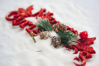 Pine cones in snow