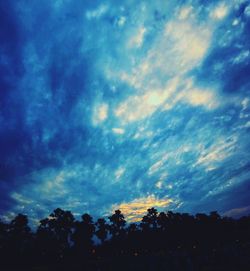 Low angle view of silhouette trees against sky