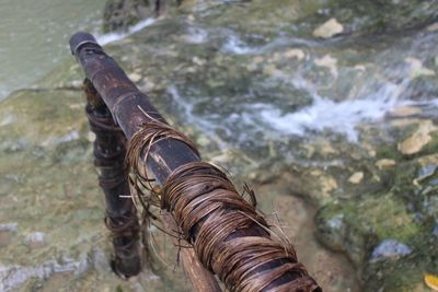 Bamboo curled up on rod over stream