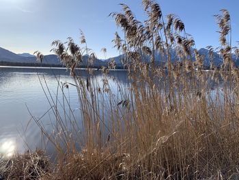 Scenic view of lake against sky