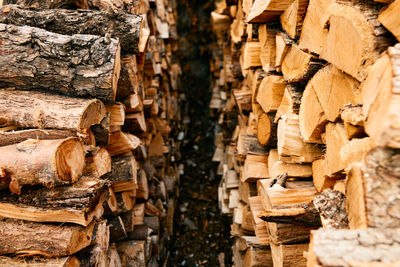 Full frame shot of firewood