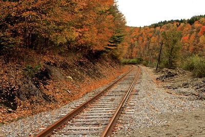 Railroad tracks amidst trees during autumn