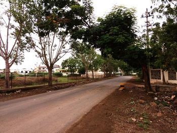 Road passing through forest