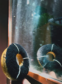 Close-up of birds in glass window