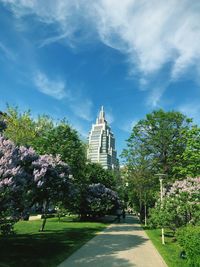 Road amidst trees and buildings against sky