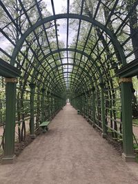 Empty corridor in greenhouse