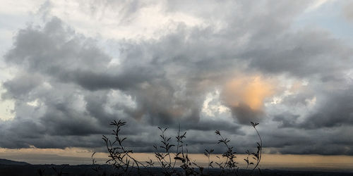 Scenic view of trees against sky during sunset