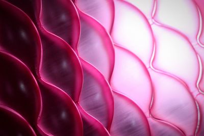 Full frame shot of pink wave pattern decor