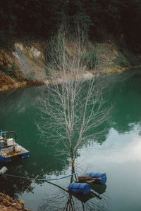 Scenic view of lake in forest