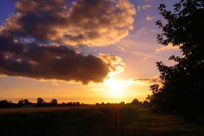 Silhouette trees on field against sky during sunset