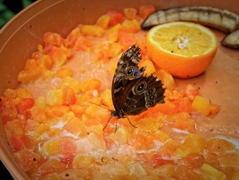 High angle view of food