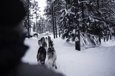 People standing on snow covered landscape